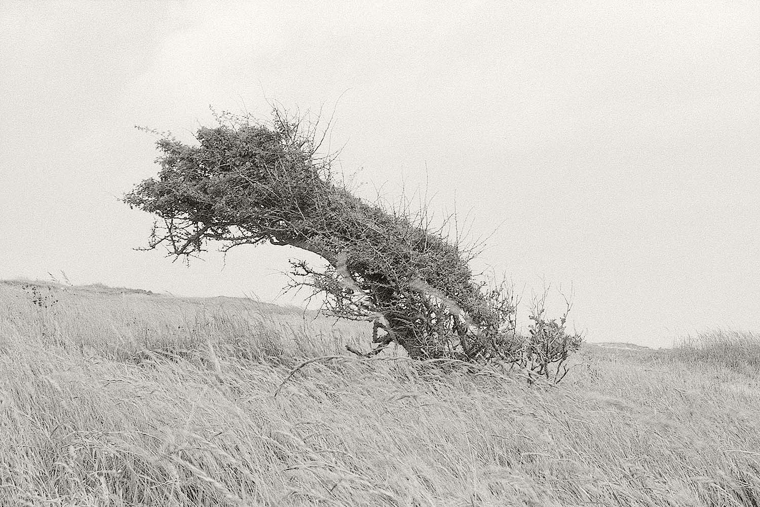 (c) Aidan Geary 2024